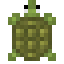 Raw Turtle