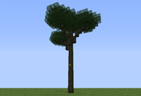 Canopy Tree ig.png