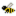 Bovine Bee
